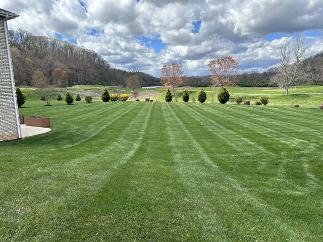 Picture showing recently mowed grass lawn with striping.